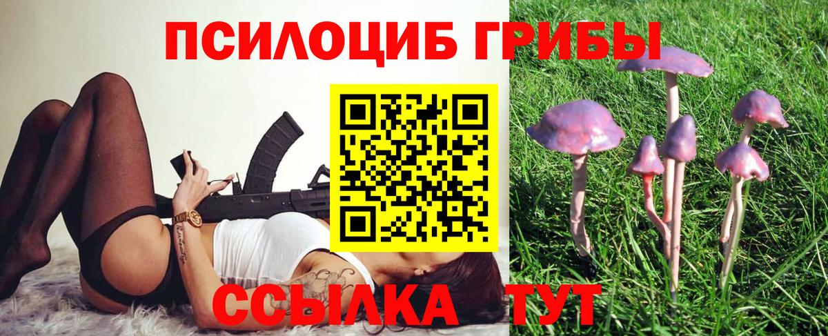 Псилоцибиновые грибы GOLDEN TEACHER Мегион